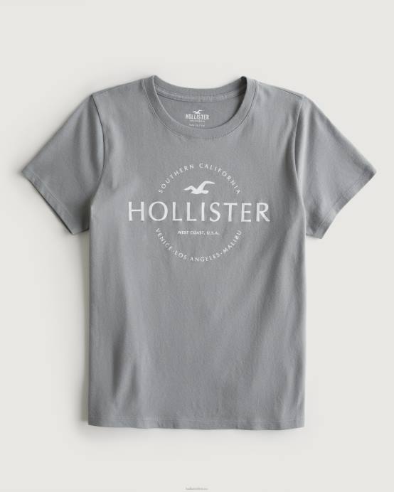 lengvas grafinis marškinėliai su logotipu pilka moterys Hollister viršūnės RDJ0W198