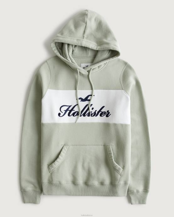 Lengvas grafinis gobtuvas su logotipu šalavijų žalia moterys Hollister viršūnės RDJ0W321