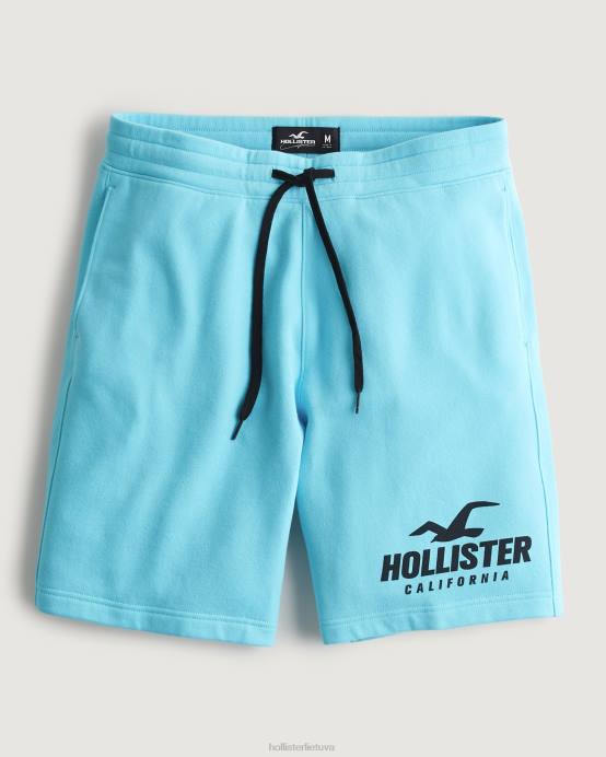 9 colių vilnos grafiniai šortai su logotipu turkis vyrų Hollister dugnai RDJ0W1163