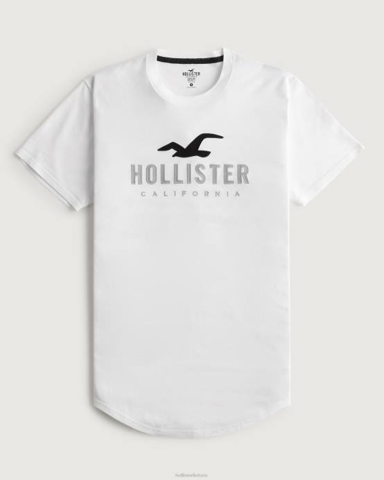 grafinis marškinėliai su logotipu išlenktu kraštu baltas vyrų Hollister viršūnės RDJ0W959