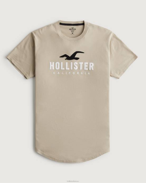 grafinis marškinėliai su logotipu išlenktu kraštu įdegis vyrų Hollister viršūnės RDJ0W868