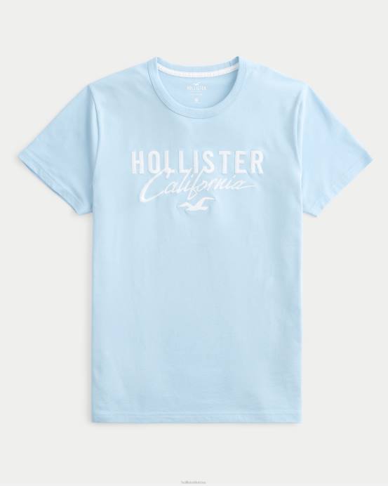 grafinis marškinėliai su logotipu šviesiai mėlynas vyrų Hollister viršūnės RDJ0W946