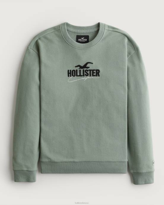 atpalaiduojantis logotipo komandos megztinis šalavijas vyrų Hollister viršūnės RDJ0W845