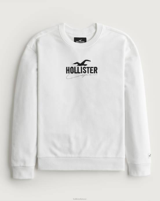 atpalaiduojantis logotipo komandos megztinis baltas vyrų Hollister viršūnės RDJ0W956