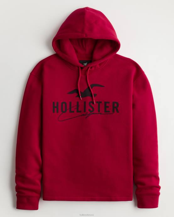 grafinis gobtuvas su logotipu raudona vyrų Hollister viršūnės RDJ0W1034