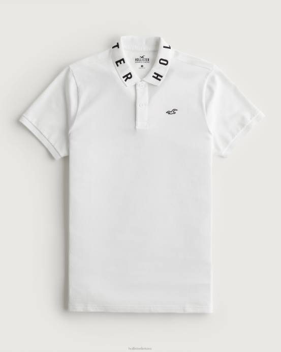 Polo apykaklės logotipas baltas vyrų Hollister viršūnės RDJ0W833