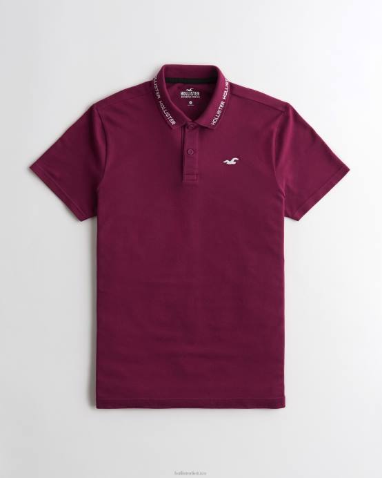 Polo su logotipu bordo vyrų Hollister viršūnės RDJ0W1079